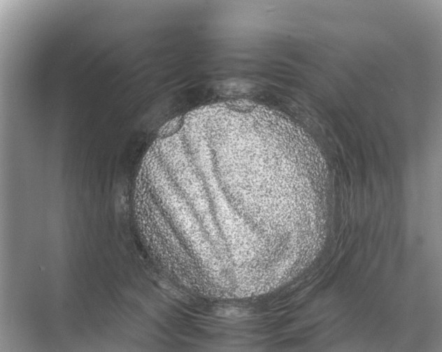 X0000070190561200606232015