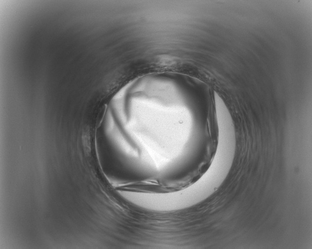 X0000070190562200606232015