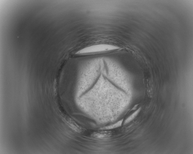 X0000070190563200606232015