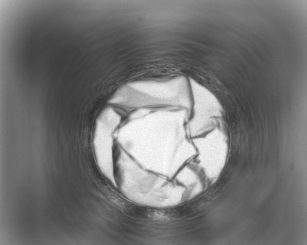 X0000070190565200606232016