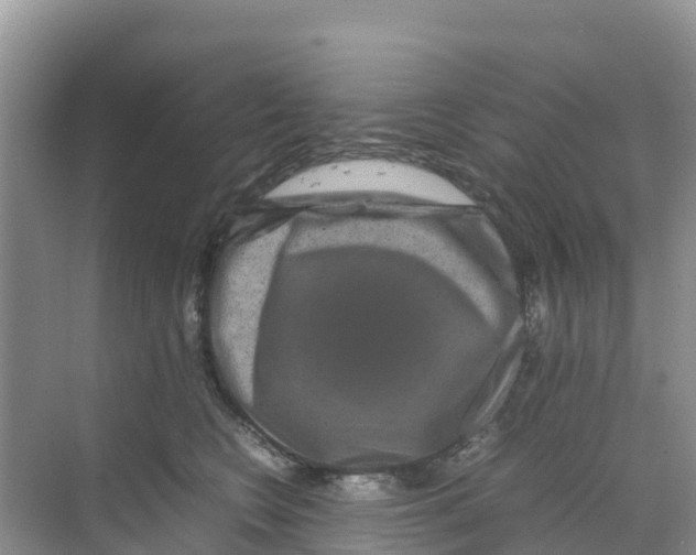 X0000070190566200606232016