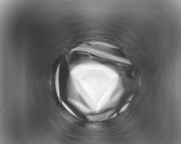 X0000070190567200606232016