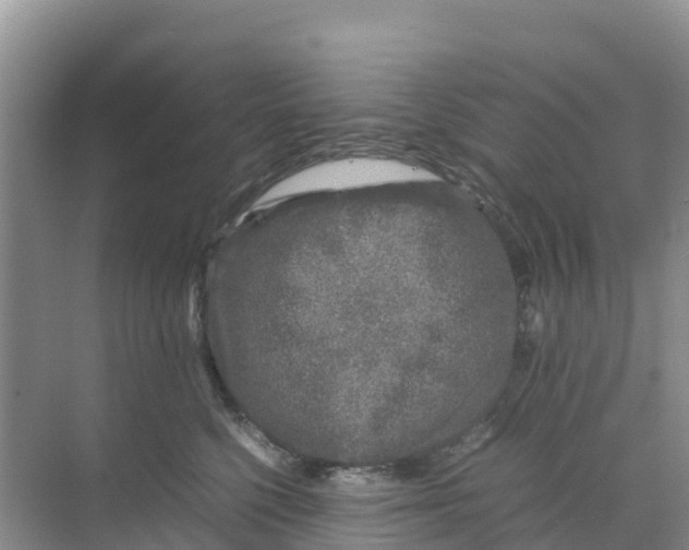 X0000070190568200606232016