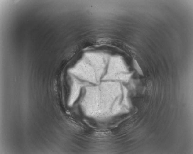 X0000070190571200606232016