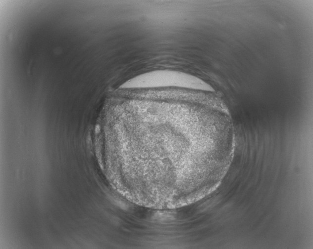 X0000070190573200606232016