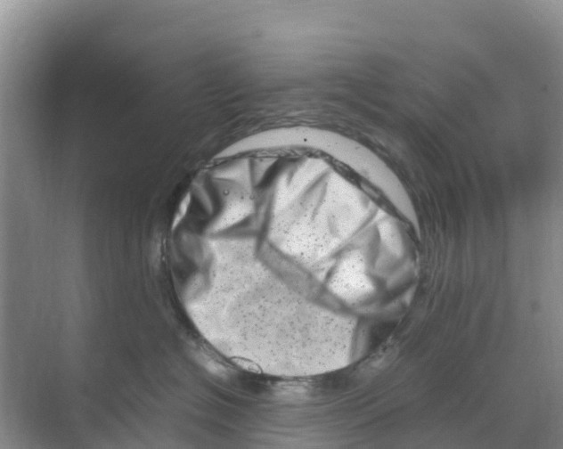 X0000070190574200606232016