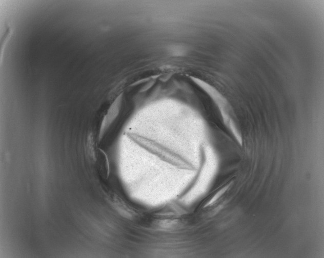 X0000070190575200606232016