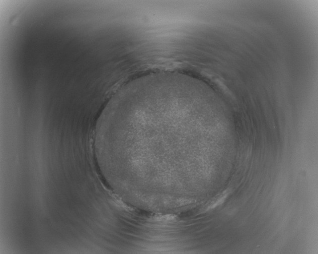 X0000070190576200606232016