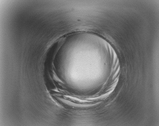 X0000070190577200606232015