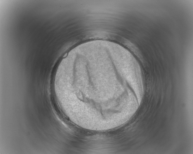 X0000070190578200606232015