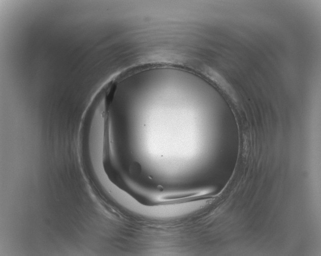 X0000070190580200606232015