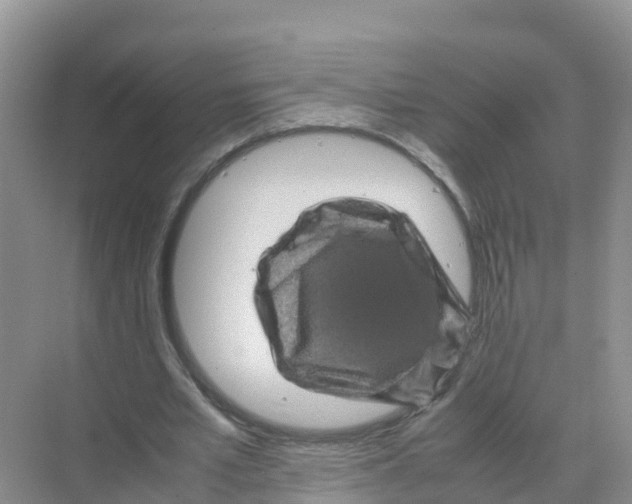 X0000070190581200606232015