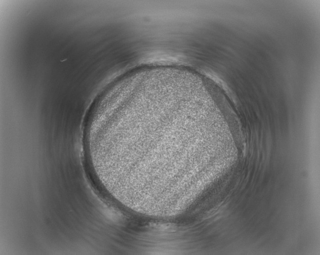 X0000070190582200606232015