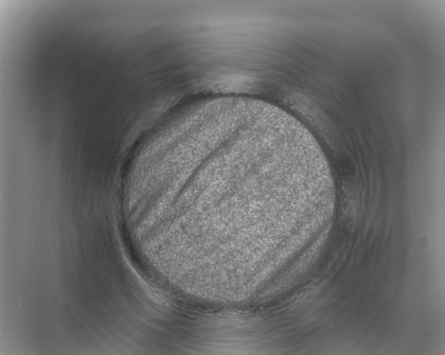 X0000070190586200606232015