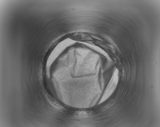 X0000070190588200606232015