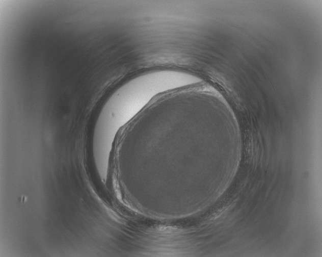 X0000070190590200606232015