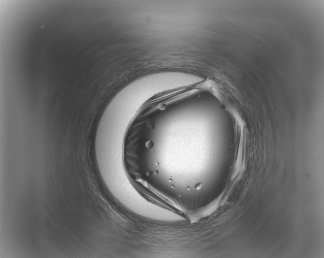 X0000070190593200606232015