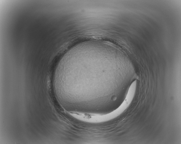 X0000070190595200606232015