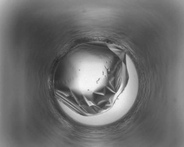 X0000070190597200606232015