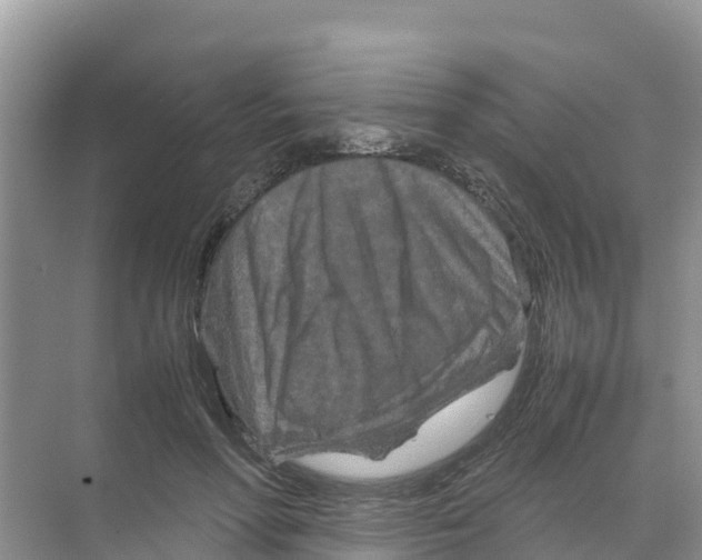 X0000070190598200606232015