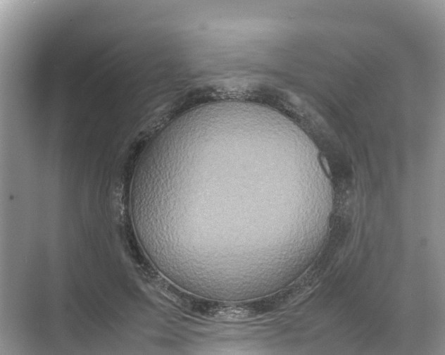 X0000070190599200606232015