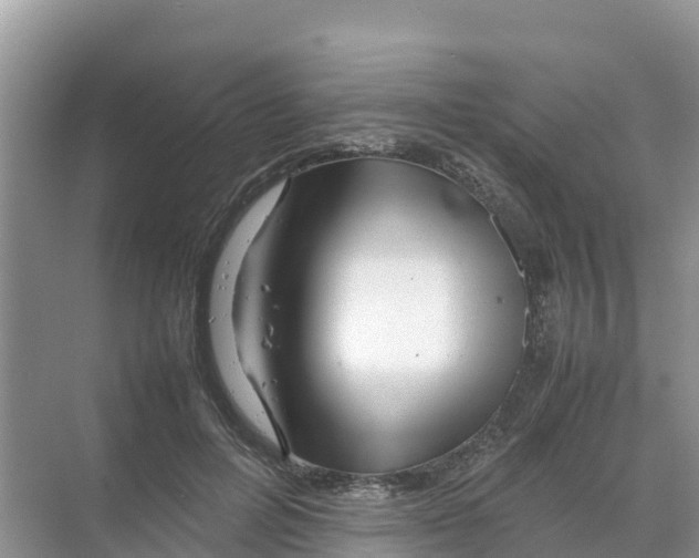 X0000070190600200606232014