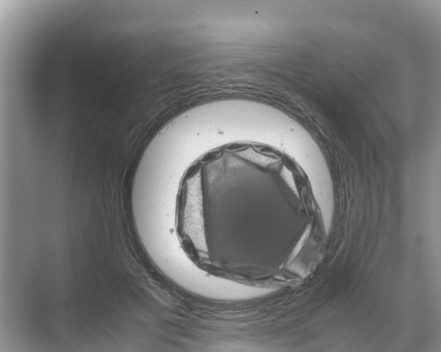 X0000070190601200606232014