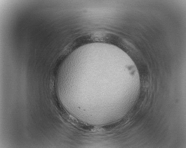 X0000070190603200606232014