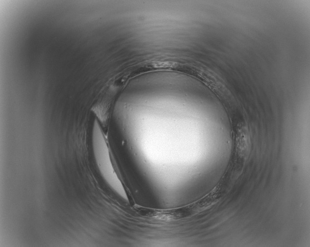 X0000070190604200606232014