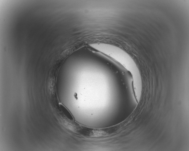 X0000070190605200606232014