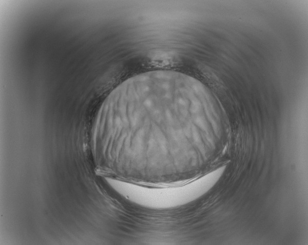 X0000070190606200606232014