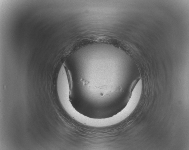 X0000070190607200606232014