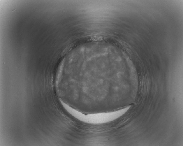 X0000070190610200606232014