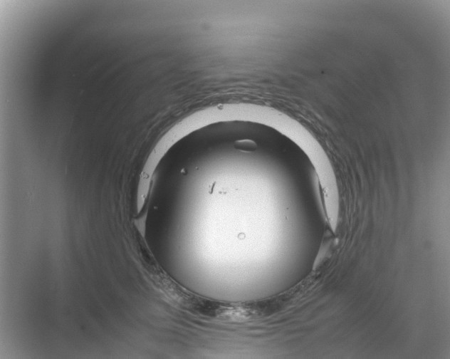 X0000070190611200606232014