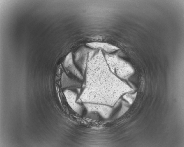 X0000070190612200606232014