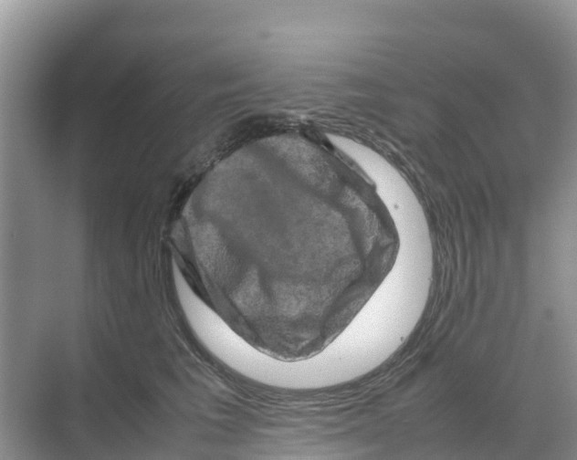 X0000070190613200606232014