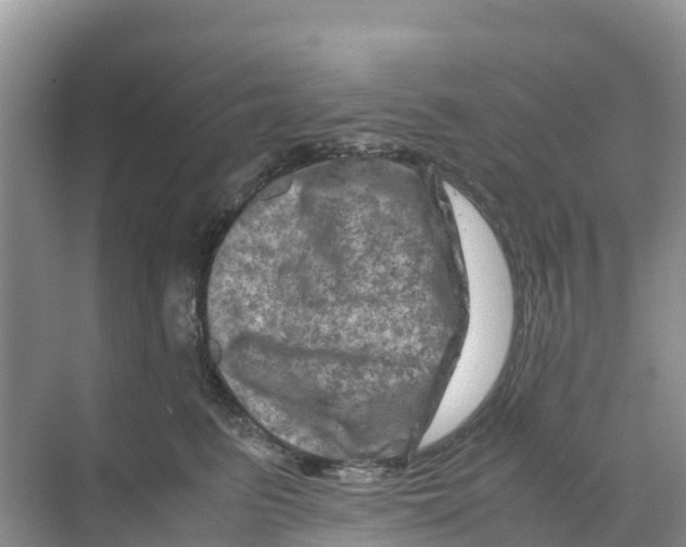 X0000070190615200606232014