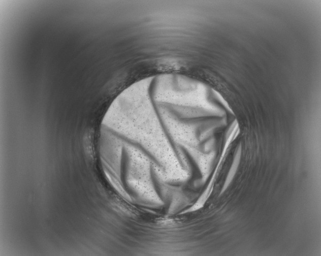 X0000070190616200606232014