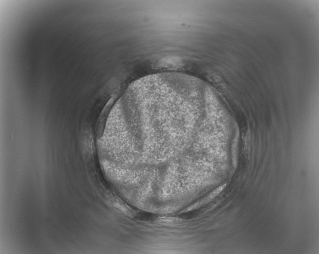 X0000070190617200606232014