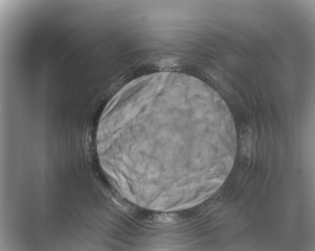 X0000070190618200606232014