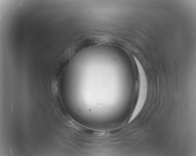 X0000070190621200606232014