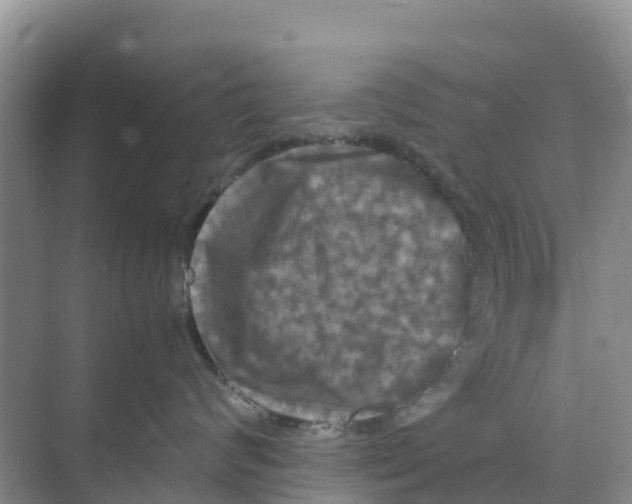 X0000070190624200606232014