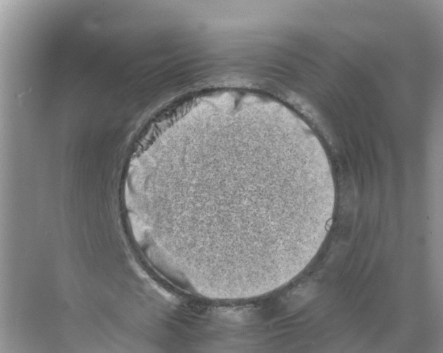 X0000070190625200606232013