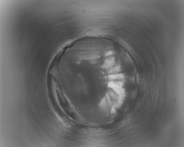 X0000070190626200606232013