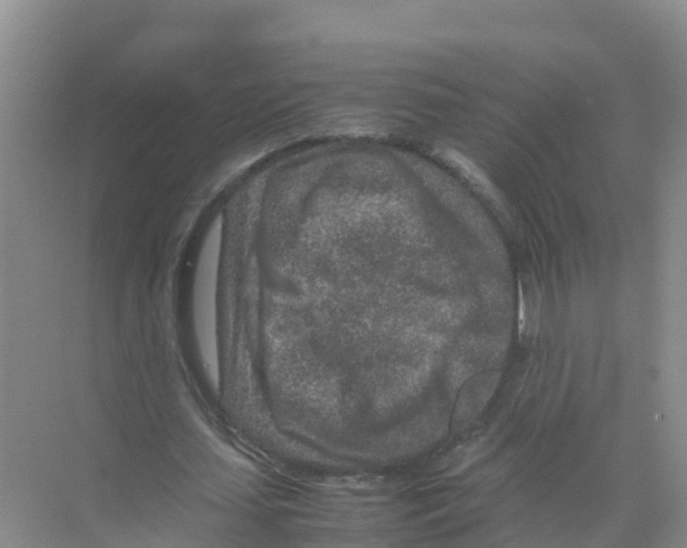 X0000070190627200606232013