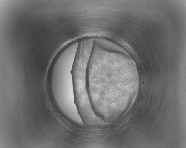 X0000070190628200606232013