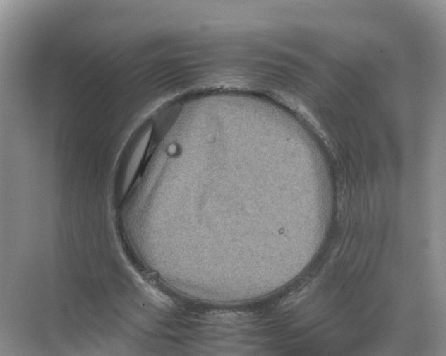 X0000070190629200606232013