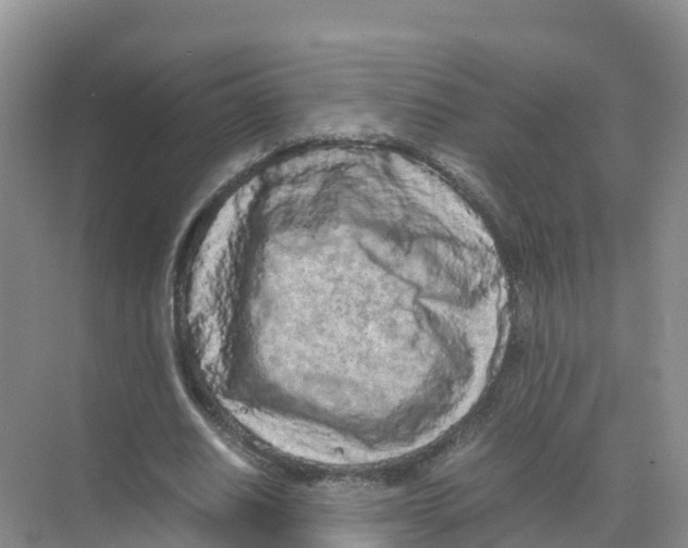 X0000070190630200606232013