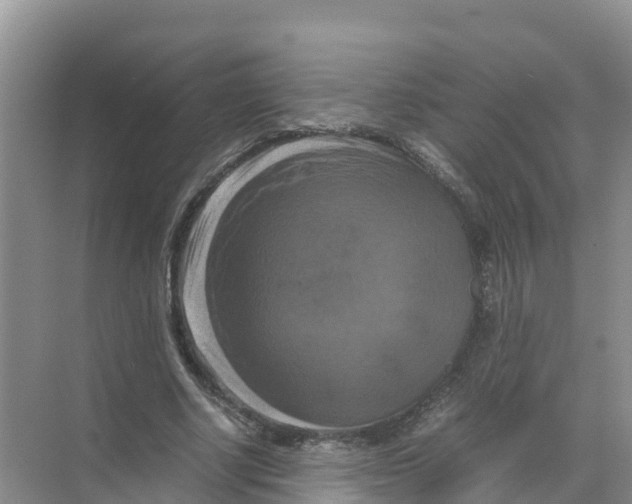 X0000070190634200606232013