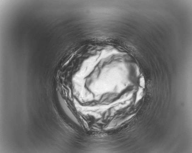 X0000070190642200606232014